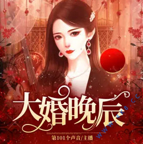 《大婚晚辰》有聲小說全集_第101個聲音播講(已完結)
