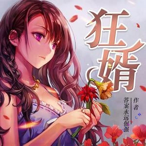 狂婿有聲小說全集_直線&靈羽播講（果維文化）
